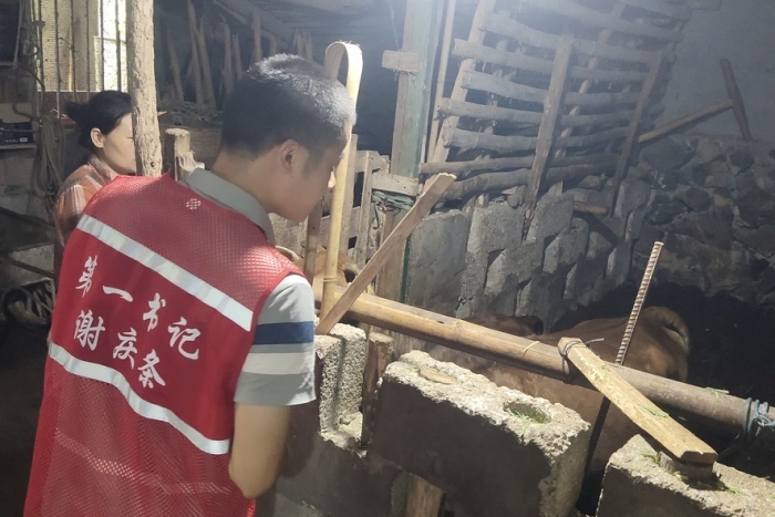 接力奋进新征程 医者初心践于行——德州扑克
口腔颌面外科党支部谢庆条赴马山县龙琴村担任驻村第一书记 第 1 张